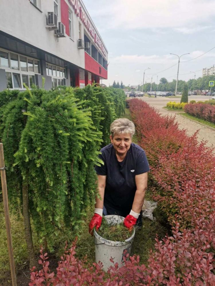 Благоустройство территории