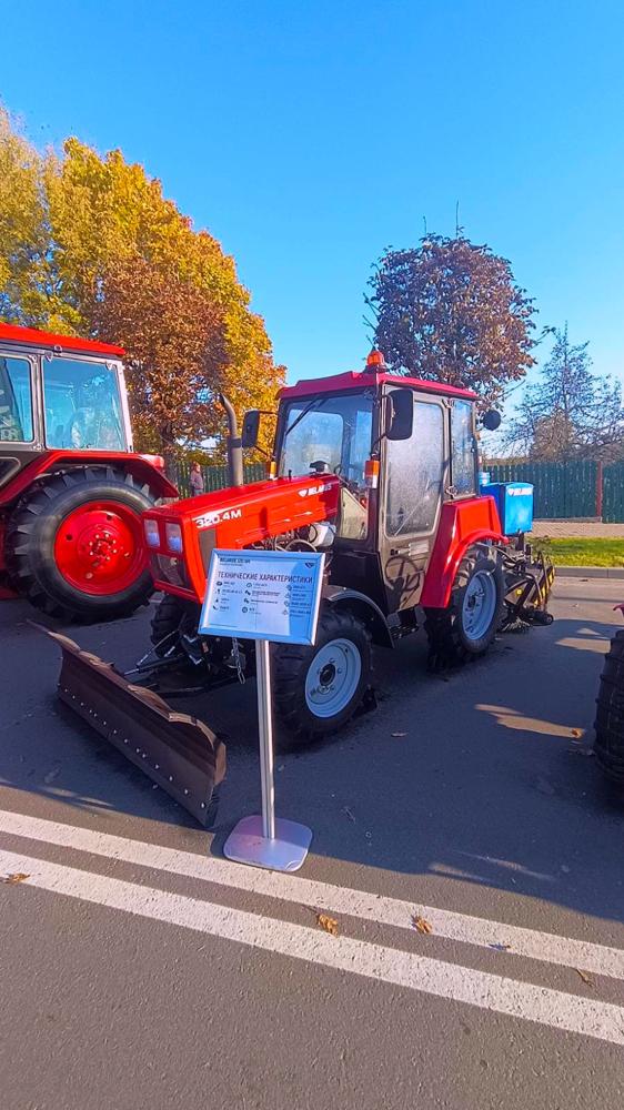 BELARUSы в Воложине