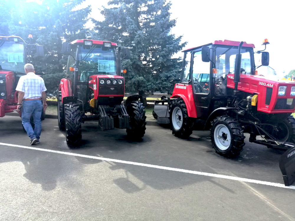 Праздник урожая "Дожинки-2022" в Брестской области