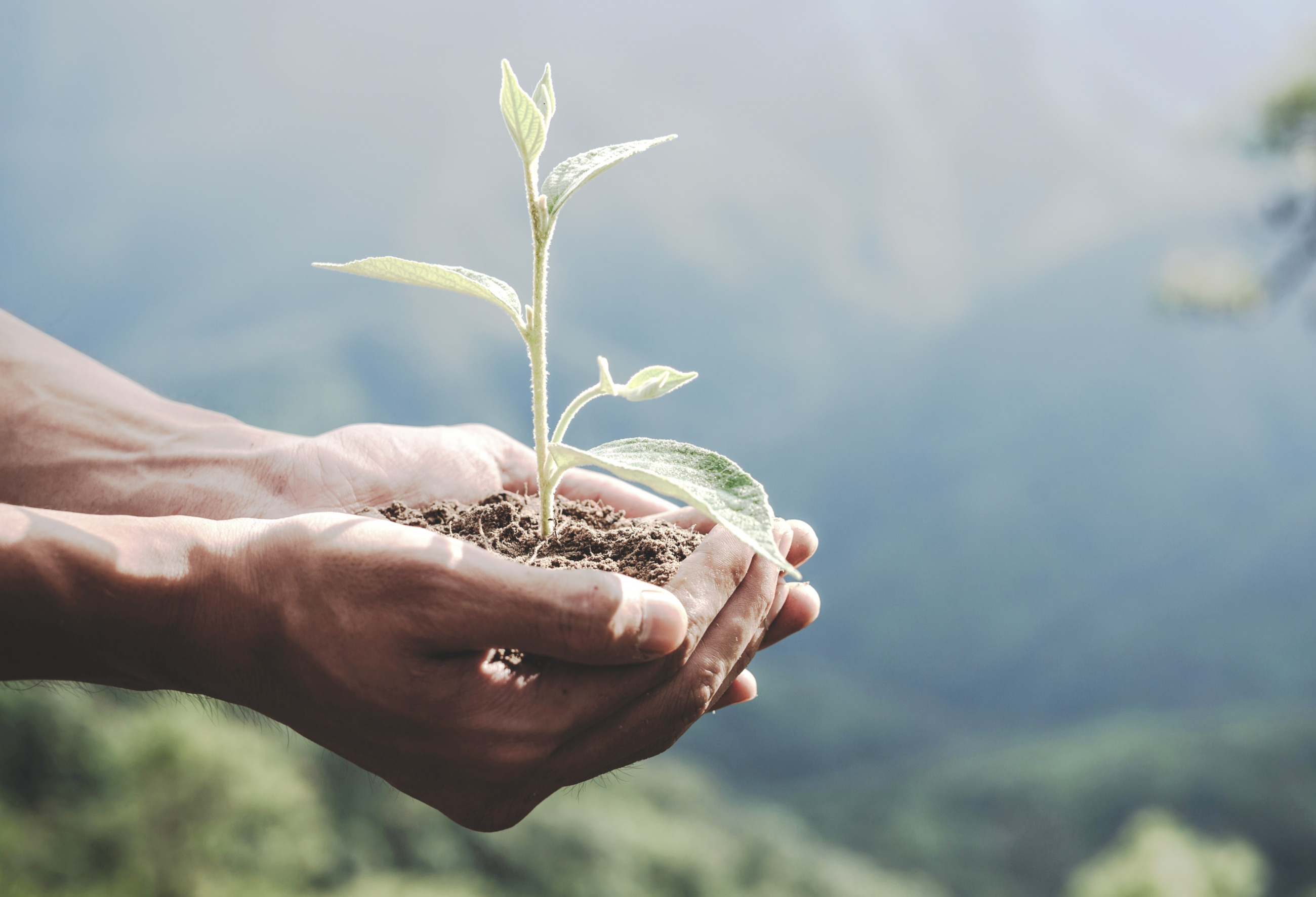 СТБ ISO 14001-2017